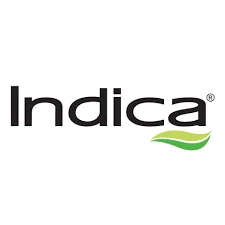 indica